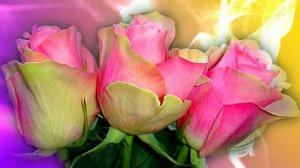 Футаж. Цветочный фон 55