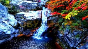 Распознай гулящую женщину и 3 основные причины гулящих женщин в современном мире