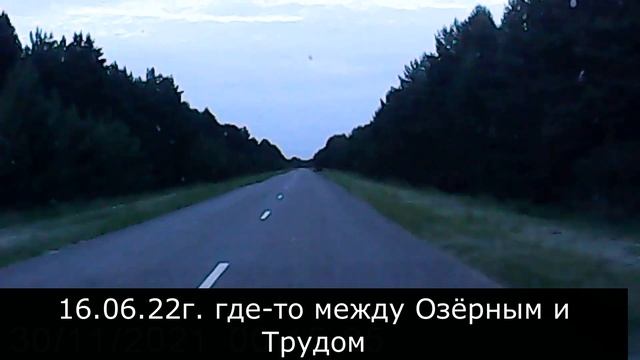 Кабанчики в Звериноголовском районе смотреть онлайн