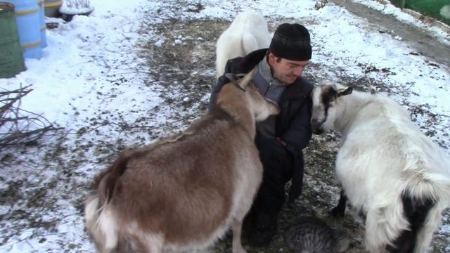 Взаимная любовь! Видео для души. смотреть онлайн