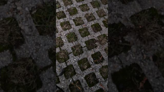 Файтинг-проверка