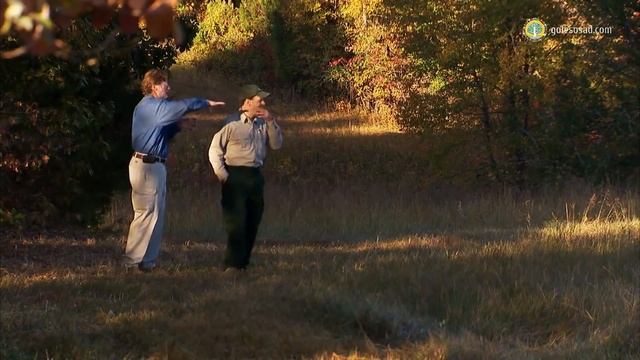 Промышленное выращивание черного ореха в США смотреть онлайн