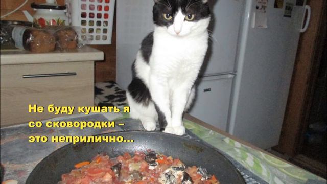 Ноябрь, до свидания. 2019 смотреть онлайн