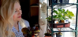 ЭКСКУРСИЯ ПО ПОДОКОННИКАМ С РАССАДОЙ