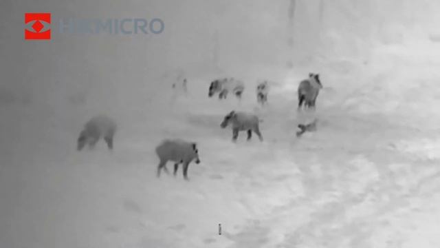 HIKMICRO HM-TS03-25XG/W-LH смотреть онлайн