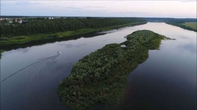 КУСТ ШИПОВНИКА НА ОКЕ смотреть онлайн