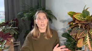 Уход за Кротоном. Обзор моих Кодиеумов.