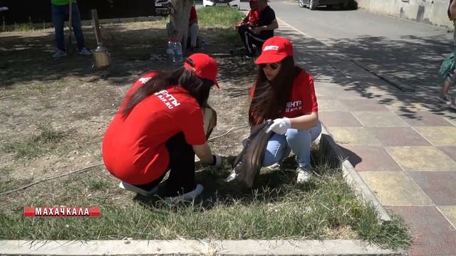Экологическая акция "Зеленый двор" в Махачкале смотреть онлайн