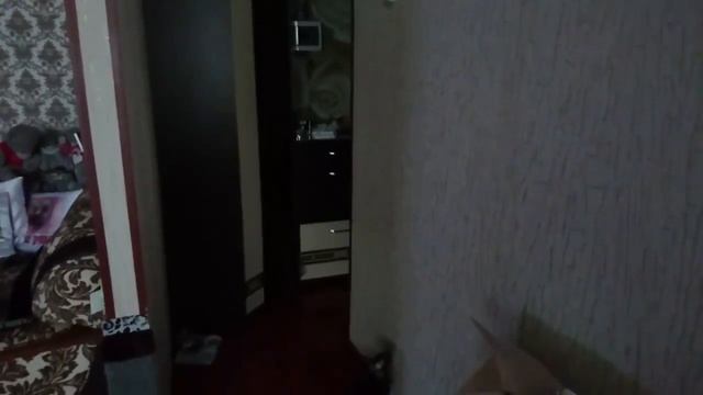 Кошка -которая ходит по стене? смотреть онлайн