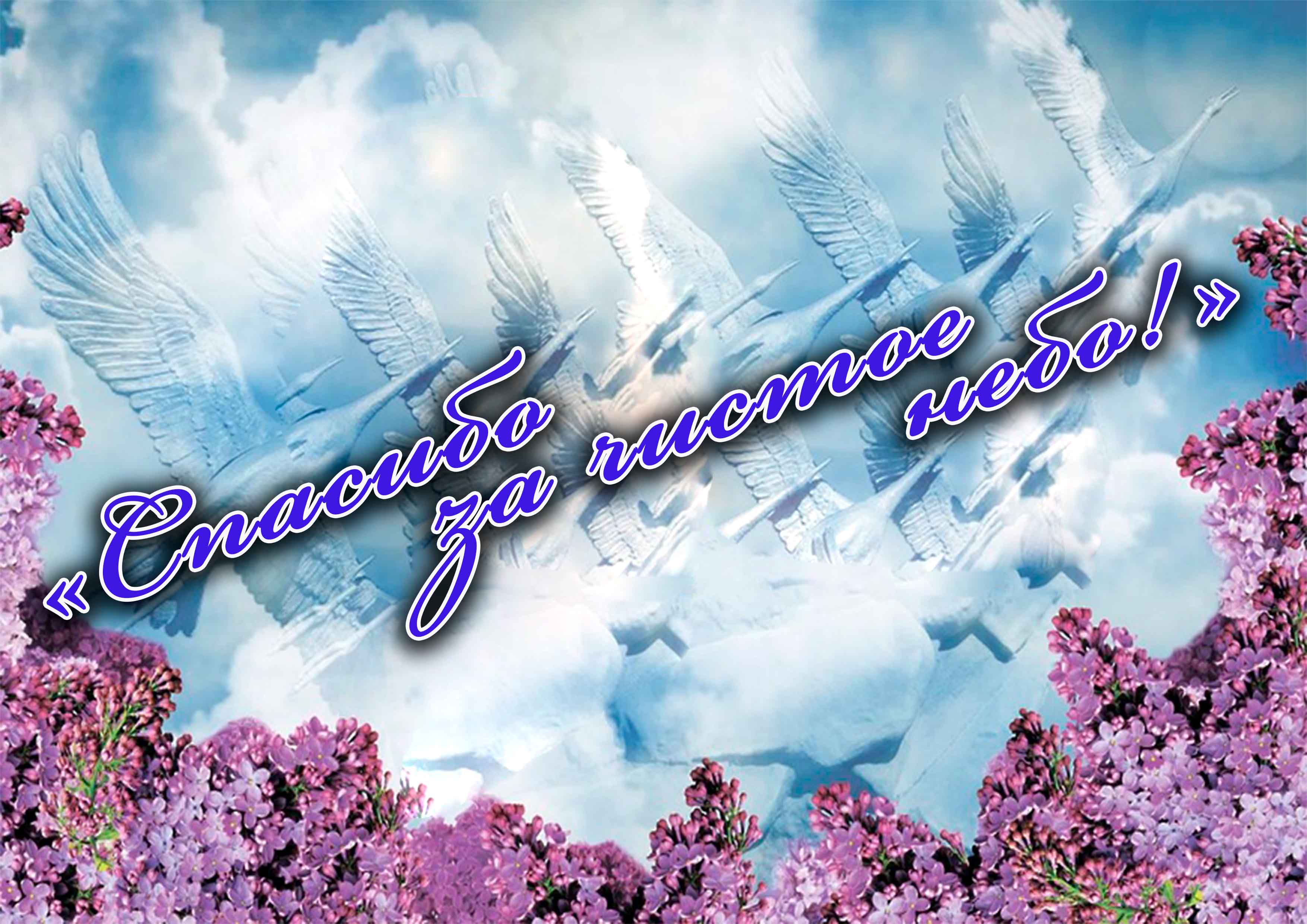 2023.05.02 Спасибо за чистое небо смотреть онлайн