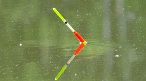 Золотой карась на поплавок. Рыбалка с ночевкой.