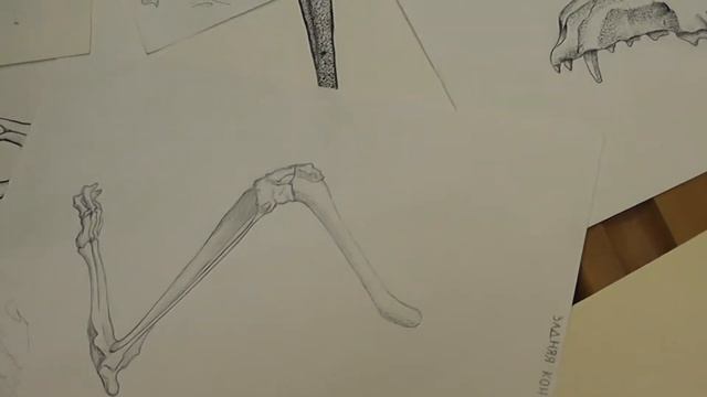 2 Сравнение сентябрьских и майских работ (вторая камера) смотреть онлайн