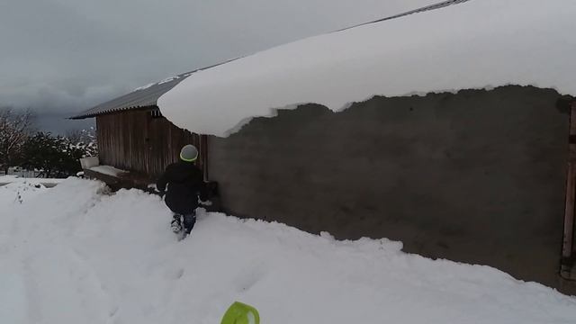 Крещение.Много снега.Папины пиявки.19.01.2022.Абхазия.Сухум. смотреть онлайн