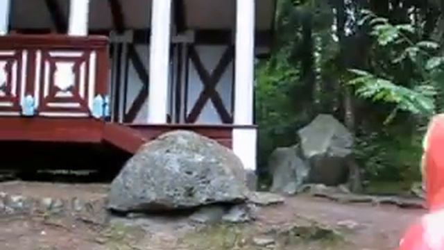 репено дача пенаты 2013