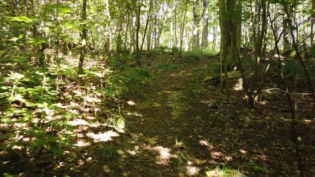 How much should a senior frontend developer know? смотреть онлайн