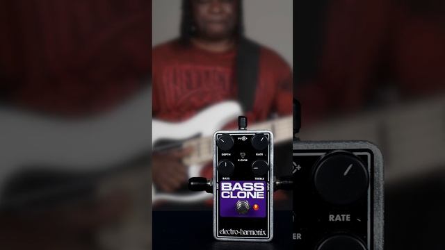 Comparing THE BIG 3 Bass Chorus Pedals смотреть онлайн
