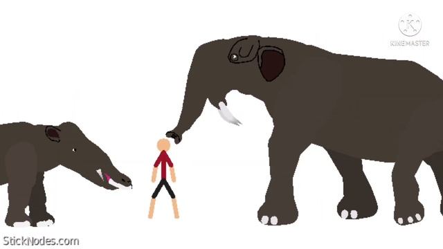 Ambelodon and deinotherium stks смотреть онлайн