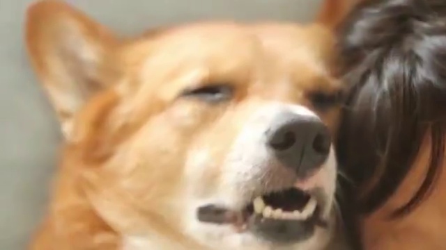 в тесноте да не в обиде смотреть онлайн