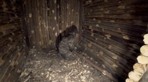 БУШКРАФТ. КАК Я ПОСТРОИЛ ХИЖИНУ В ЛЕСУ. ВЕСЬ ПРОЦЕСС ОТ НАЧАЛА И ДО КОНЦА. ХИЖИНА В ЛЕСУ ЗА 30 ДНЕЙ