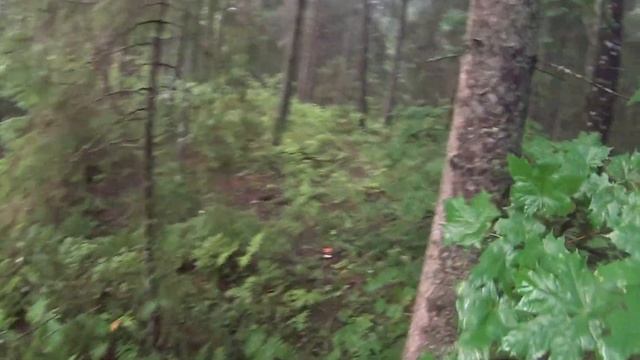 Круглая лужа посреди леса... смотреть онлайн