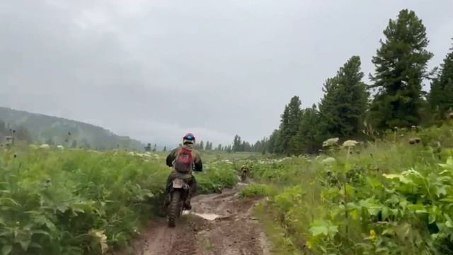 Прогулка выходного дня 26 августа 2023 год. смотреть онлайн