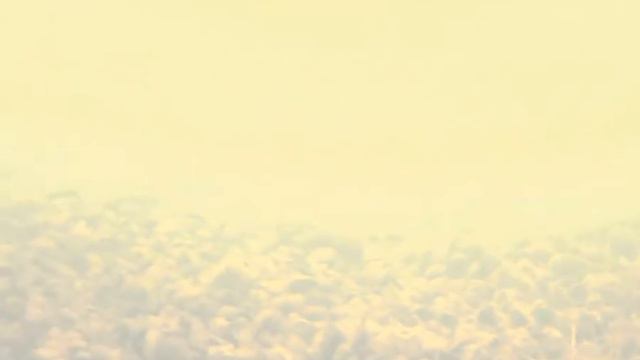 Исследую старые места по-новому. Река Илеть с подводной камерой для рыбалки FishFocuCams Pro (1 MP) смотреть онлайн