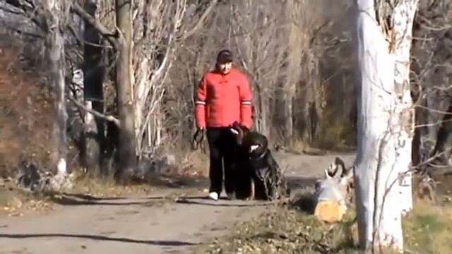 kennel OKSI DOG (Я & мои собаки Саманта и Тигра) смотреть онлайн