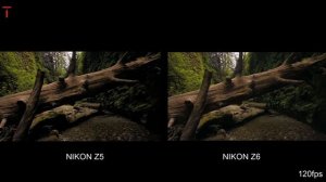 NIKON Z5 VS NIKON Z6 CAMERA COMPARISON