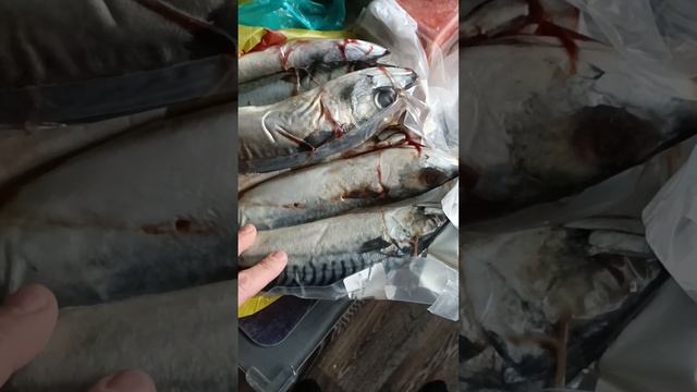 Купил продукты на Преображенском рынке Москвы. 11.11.23 г. смотреть онлайн