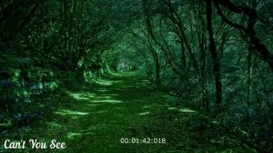 Kastomarin - Can't You See.mp4