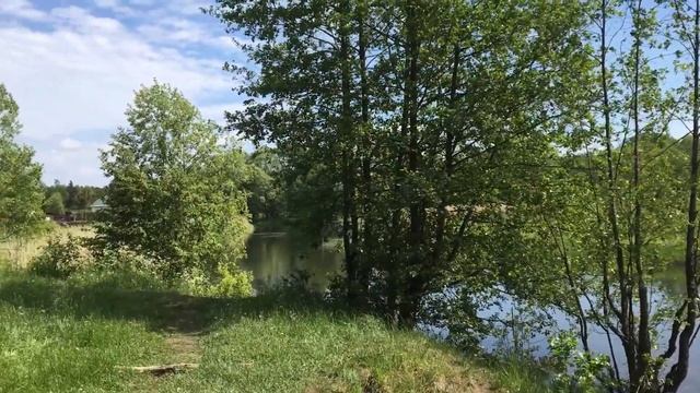 Река Вёкса с. Купанское смотреть онлайн