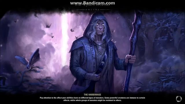 Elder Scrolls Online - Beta Stress Test Gameplay - Wood Elf - Part 3 смотреть онлайн
