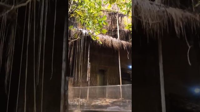 Стамбулский аквариум Флория Амазонка