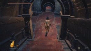 Dark souls 3 Как вступить в кoвенант : Пальцы розарии.