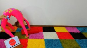 ГИМНАСТИКА ПРОТИВ СПИННЕРА  // Художественная гимнастика / Гимнастический челлендж