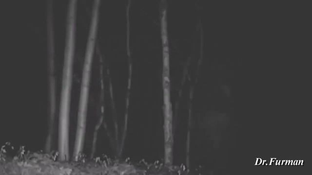 Сташно до жути Подборка призраков и Жутких существ смотреть онлайн