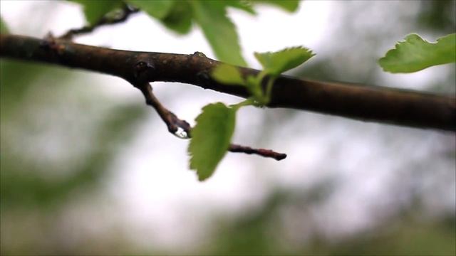 Рыбалка на окуня. Большой окунь. Как поймать окуня - Ловля Украинского Басса смотреть онлайн