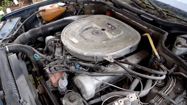 Starting 1983 Mercedes-Benz w126 380SE After 9 Years (1080p) смотреть онлайн