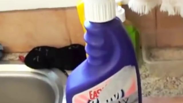 Мужчина распыляет сахарную воду на наружные стены дома, это гениально! смотреть онлайн