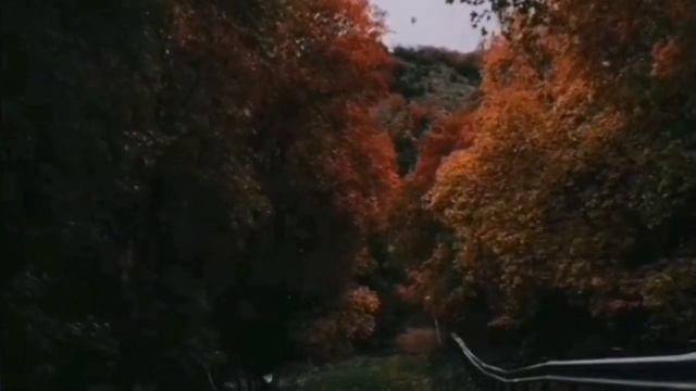 СОЕДИНЕНИЕ С РОДОМ | ОБРЕТЕНИЕ СИЛЫ РОДА | НЕЙРОПРАКТИКА смотреть онлайн
