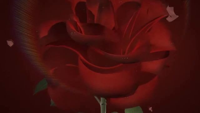 Свадебный видео альбом из фотографий № 17 смотреть онлайн