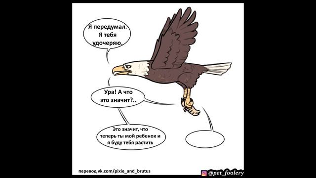 Пикси и Брут | №6 | Похищение Пикси смотреть онлайн