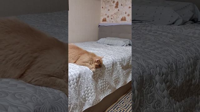 Дело было вечером, делать было нечего.... смотреть онлайн