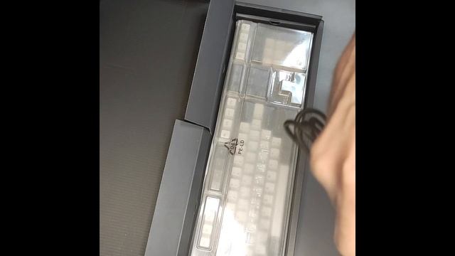 Новая клавиатура с Aliexpress FL · ESPORTS GP108 #FL · ESPORTS