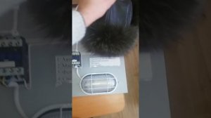 Схема подклбчения фотореле через магнитный пускатель