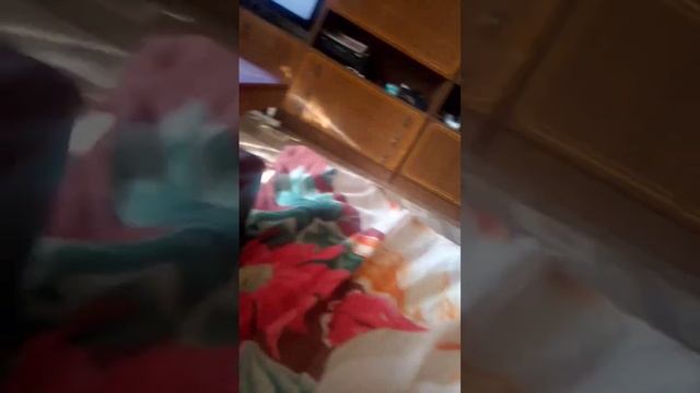 19 сентября 2023 г.19 сентября 2023 г. смотреть онлайн