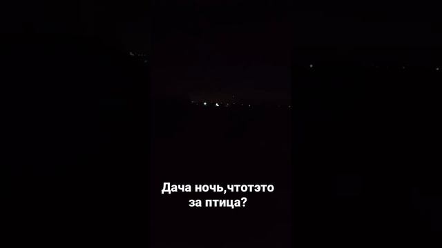дача ночью, что это за птица? смотреть онлайн