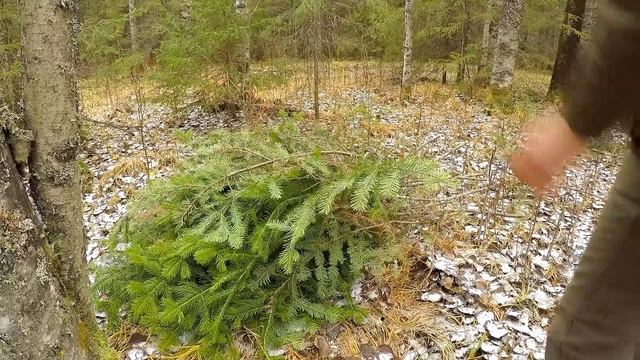 ЗИМОВЬЕ В ТАЙГЕ | охота на дичь, жизнь, баня и тайга, топоры | Primitive Log Cabin in the Forest смотреть онлайн