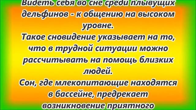 К чему снятся дельфины смотреть онлайн