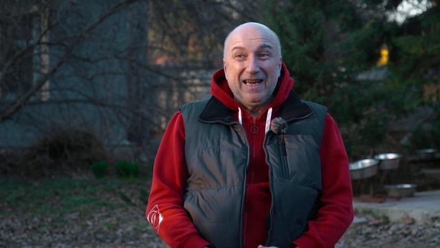 Как я покупал Audi Q7 | Опыт эксплуатации и ее проблемы. смотреть онлайн